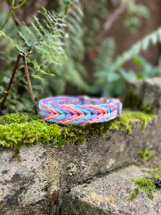 Paracord Collar - Pastel Pups