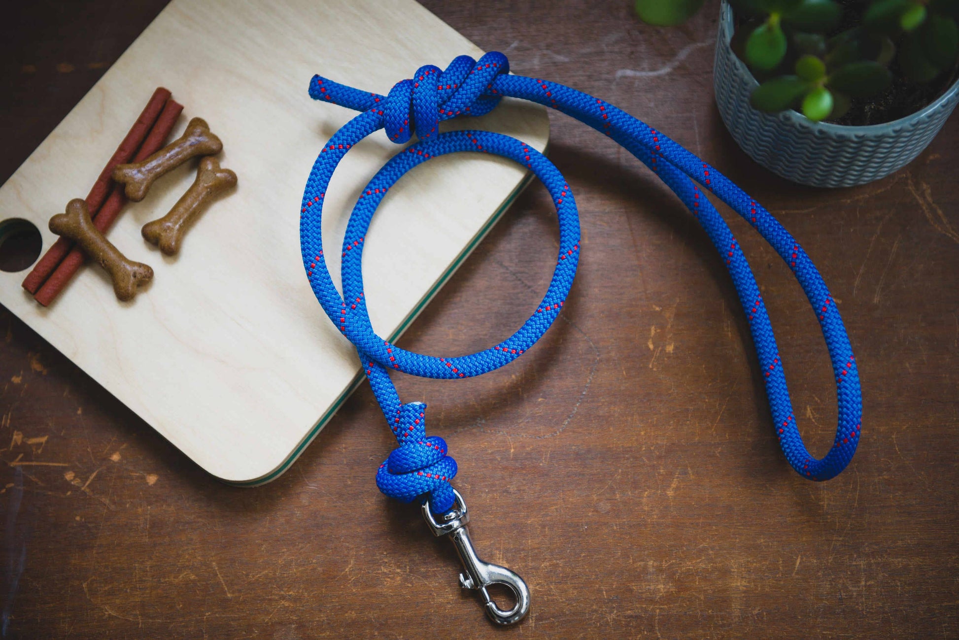 Recycled Climbing Rope Dog Leash1
