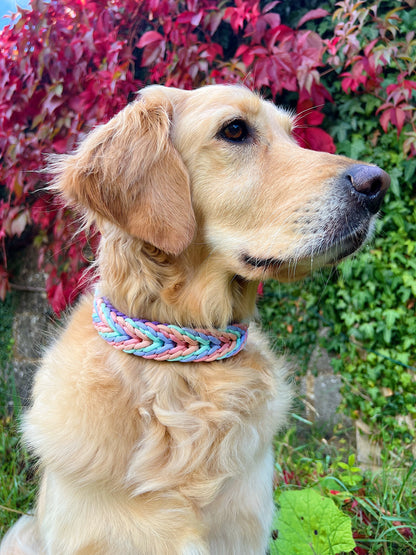 Paracord Collar - Pastel Pups