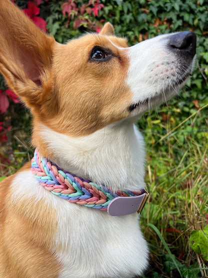 Paracord Collar - Pastel Pups