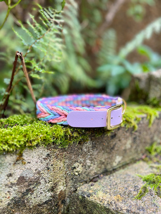 Paracord Collar - Pastel Pups